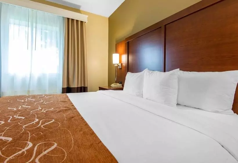 هتل Comfort Suites Rochester Henrietta University Area