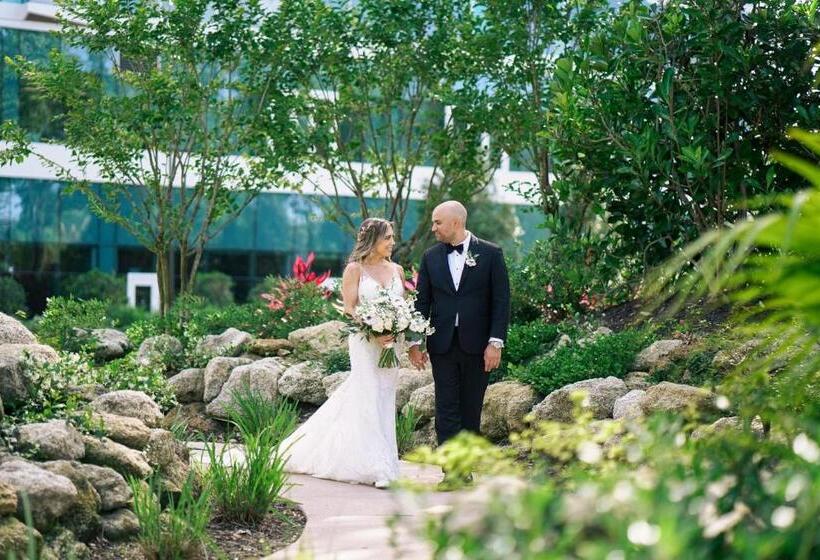 فندق Walt Disney World Swan