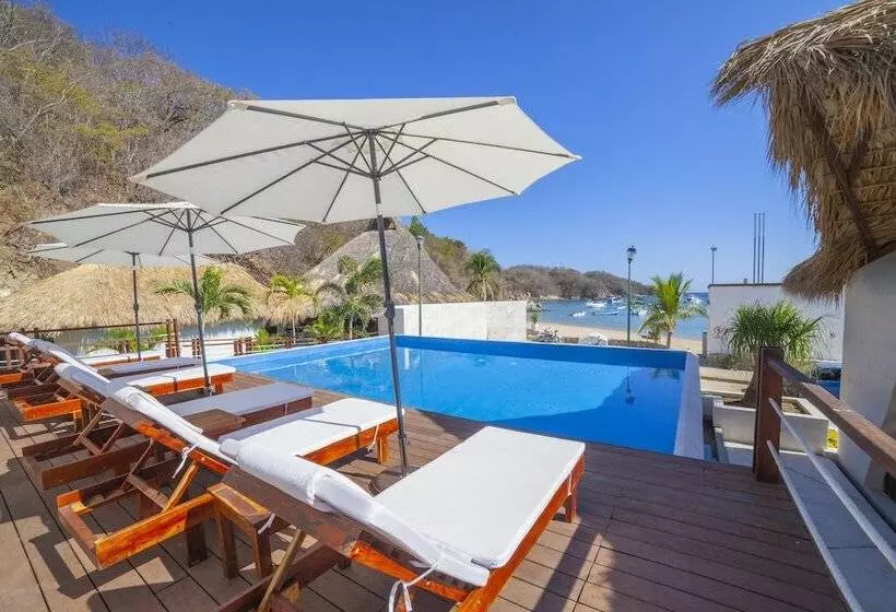 Marina Resort & Beach Club