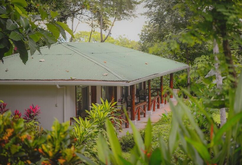 فندق Cerro Lodge