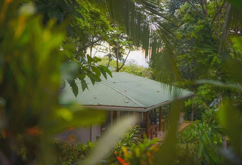 فندق Cerro Lodge