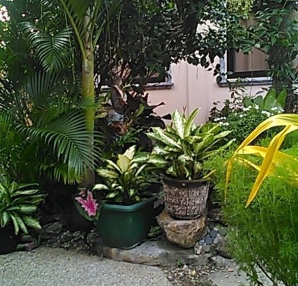 Hotel Ucoy Beach Resort