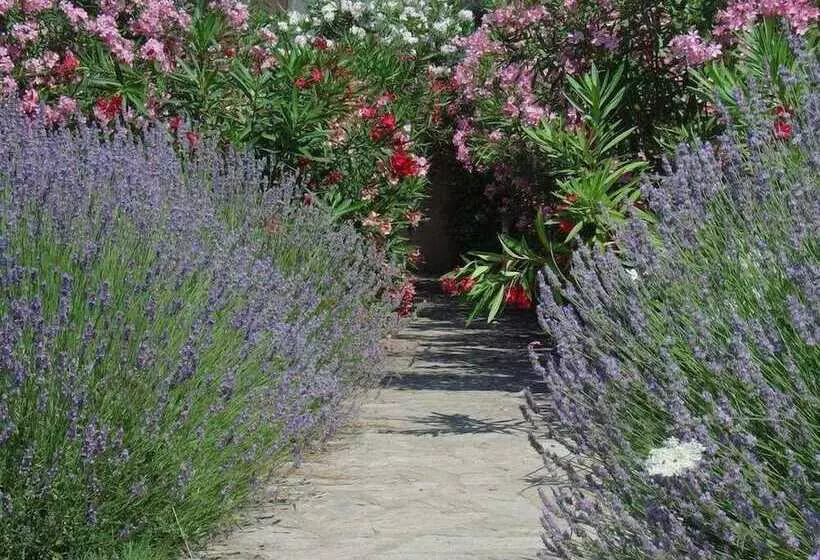 اقامتگاه Résidence Fiori Di Cala Rossa