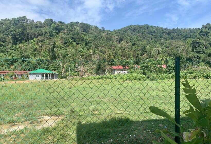 فندق The Sassy House