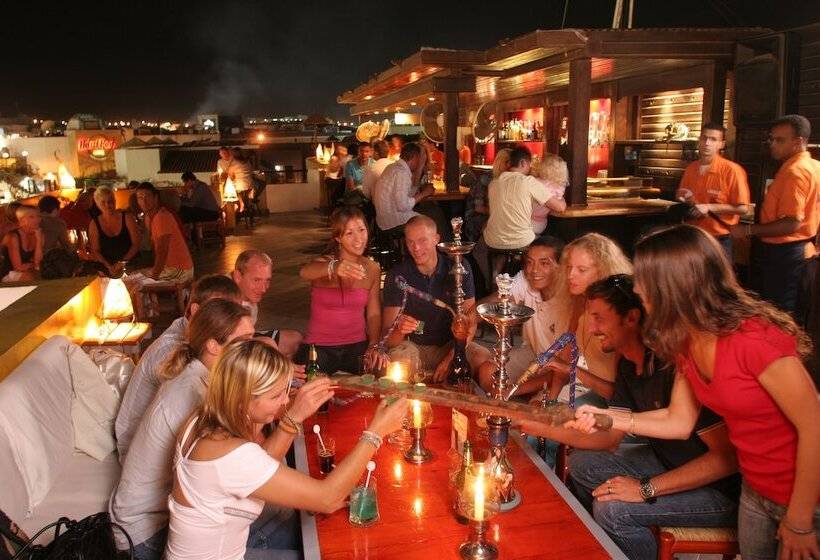 Camel Dive Club & Hotel   Boutique