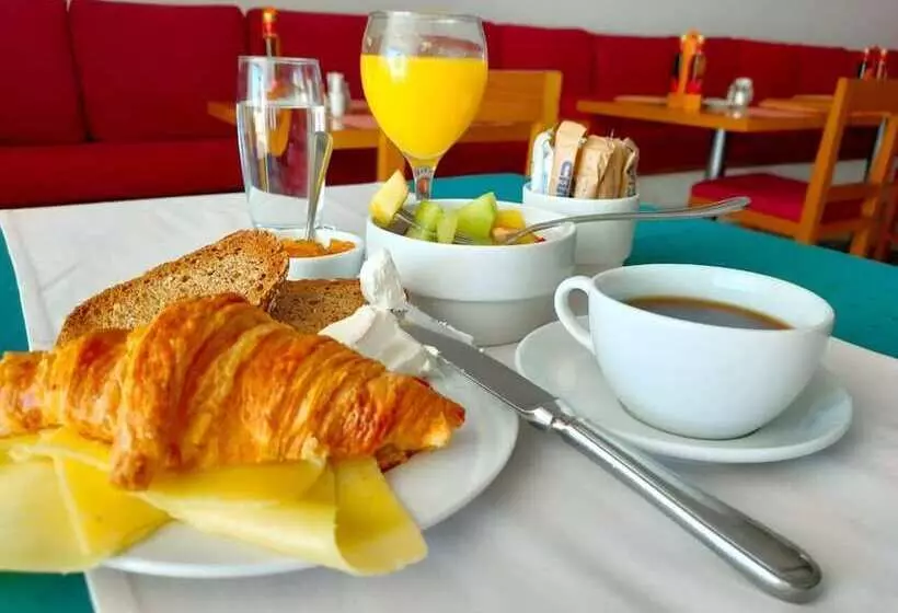 Camel Dive Club & Hotel   Boutique