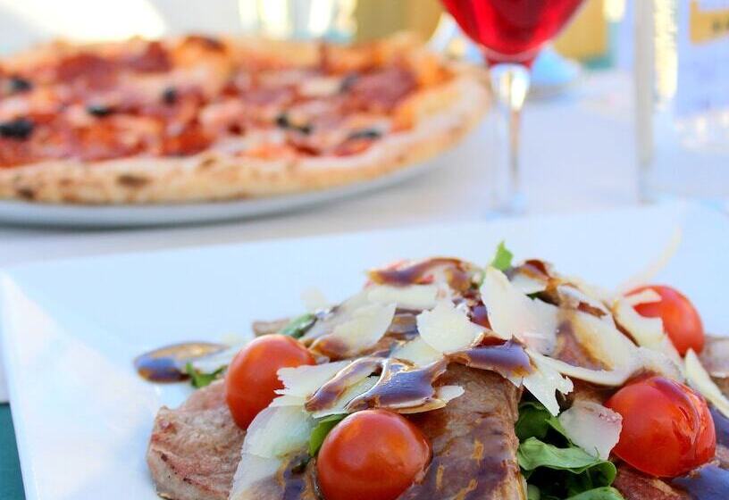 Camel Dive Club & Hotel   Boutique