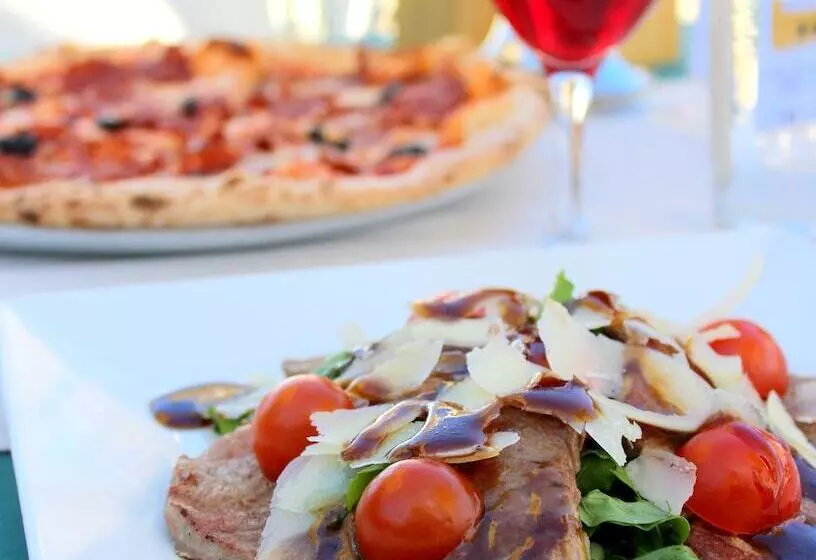 Camel Dive Club & Hotel   Boutique