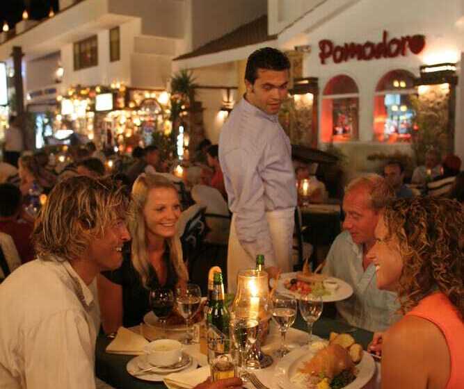 Camel Dive Club & Hotel   Boutique