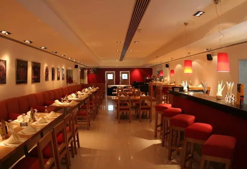 Camel Dive Club & Hotel   Boutique