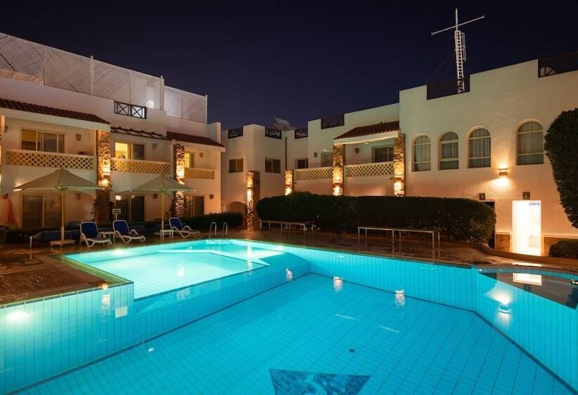 Camel Dive Club & Hotel   Boutique