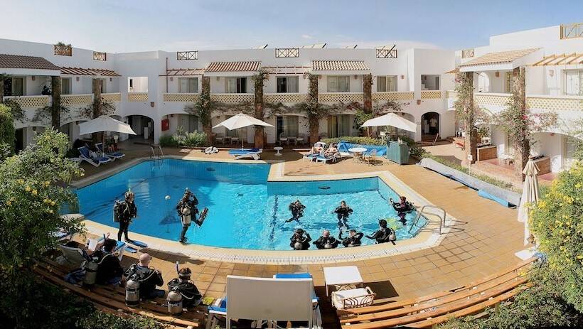 Camel Dive Club & Hotel   Boutique