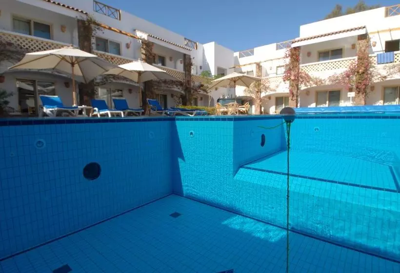 Camel Dive Club & Hotel   Boutique