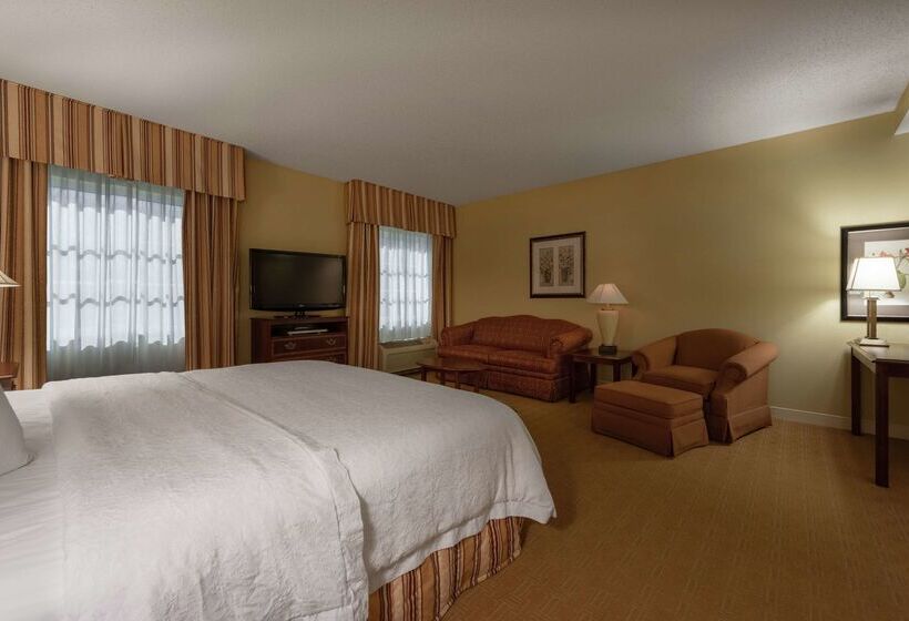 ホテル Hampton Inn & Suites Vicksburg