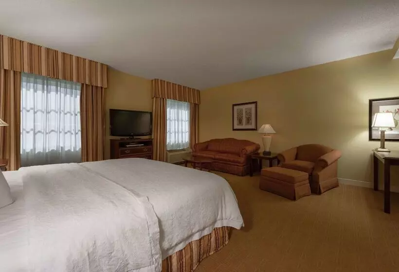 Отель Hampton Inn & Suites Vicksburg
