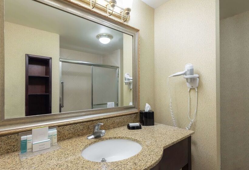 ホテル Hampton Inn & Suites Vicksburg