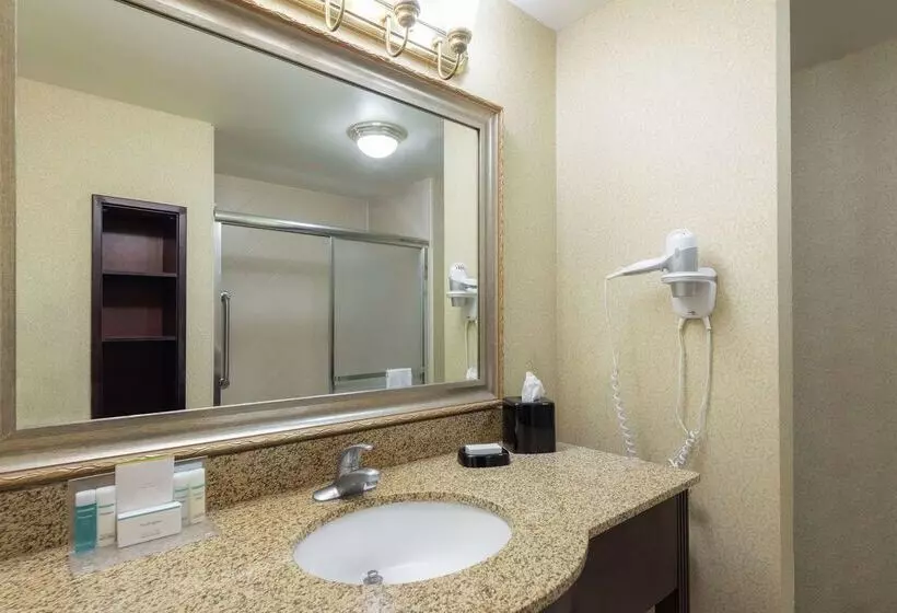 Отель Hampton Inn & Suites Vicksburg