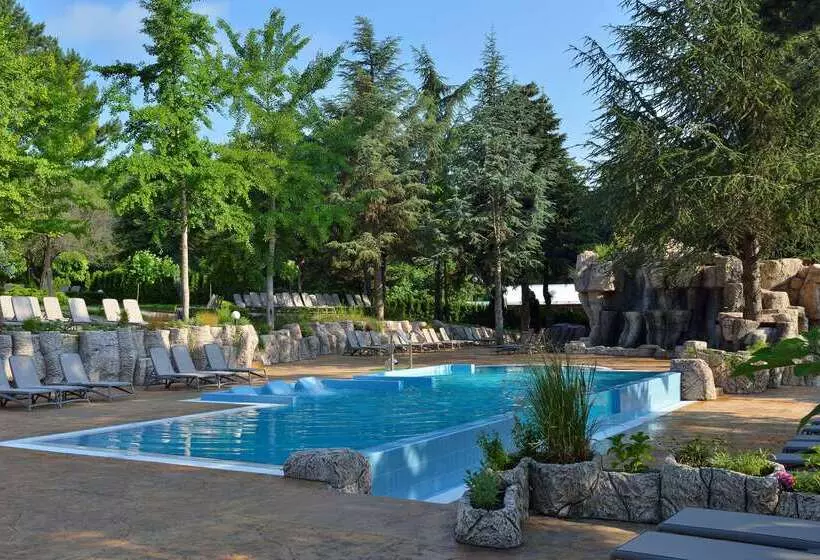 ホテル Melia Grand Hermitage All Inclusive