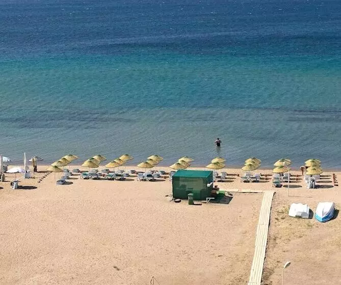 ホテル Palmera Resort