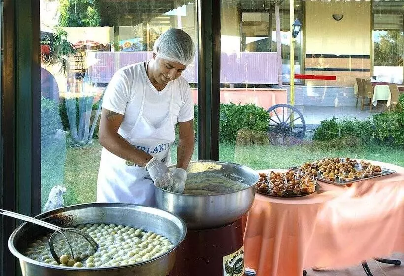 ホテル Palmera Resort