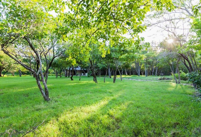 هتل Punta Teonoste