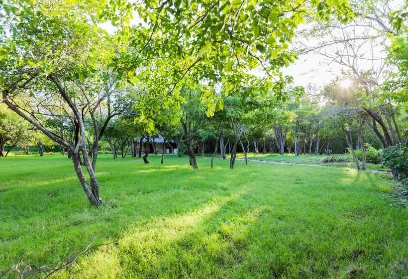 هتل Punta Teonoste