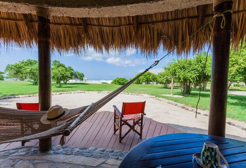 هتل Punta Teonoste