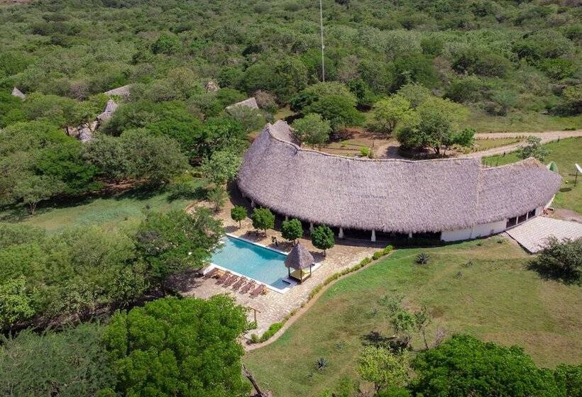 هتل Punta Teonoste