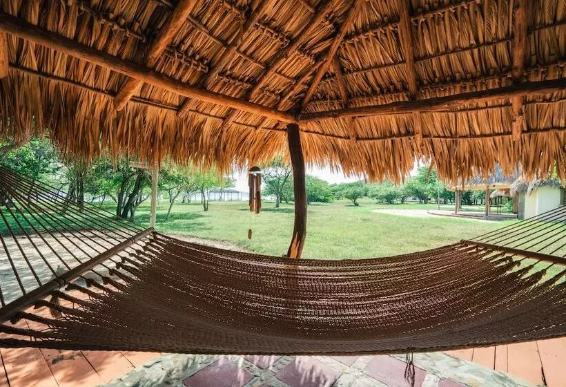 هتل Punta Teonoste