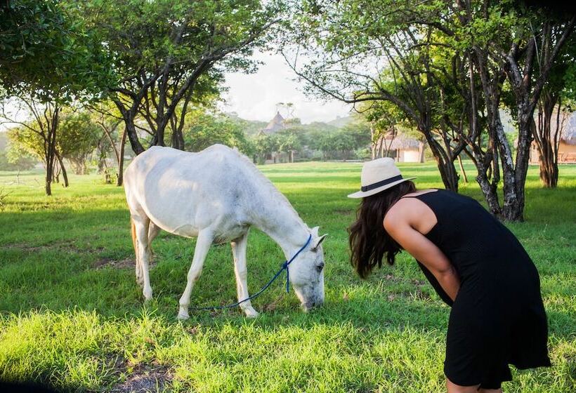 هتل Punta Teonoste