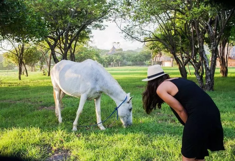 هتل Punta Teonoste