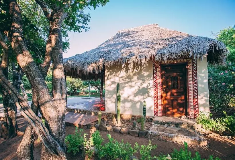 هتل Punta Teonoste