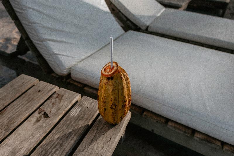 בית מלון כפרי Txai Resort