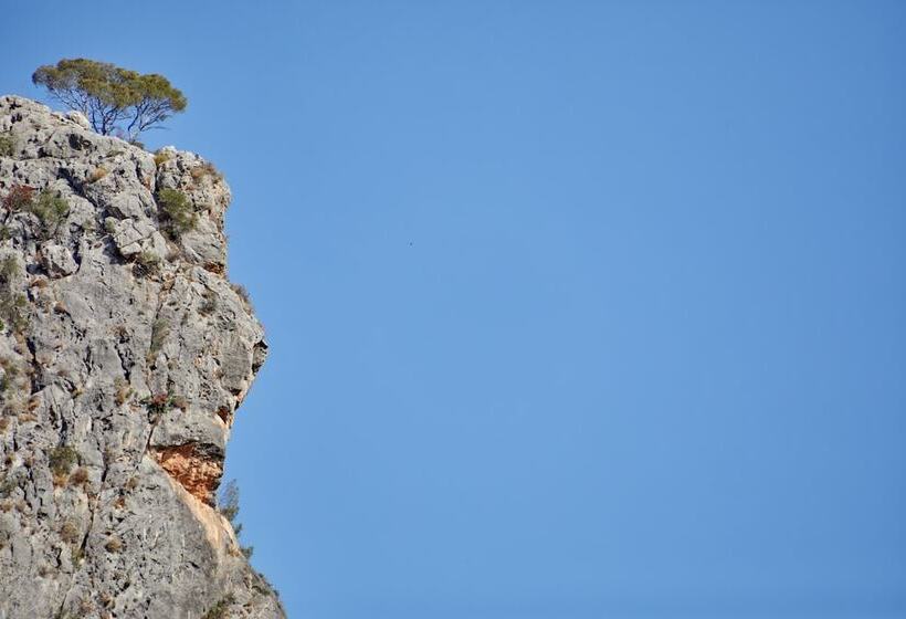 هتل Agroturismo Alqueria Blanca