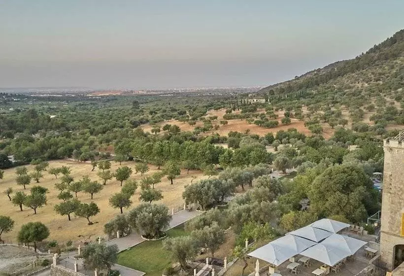 호텔 Agroturismo Alqueria Blanca