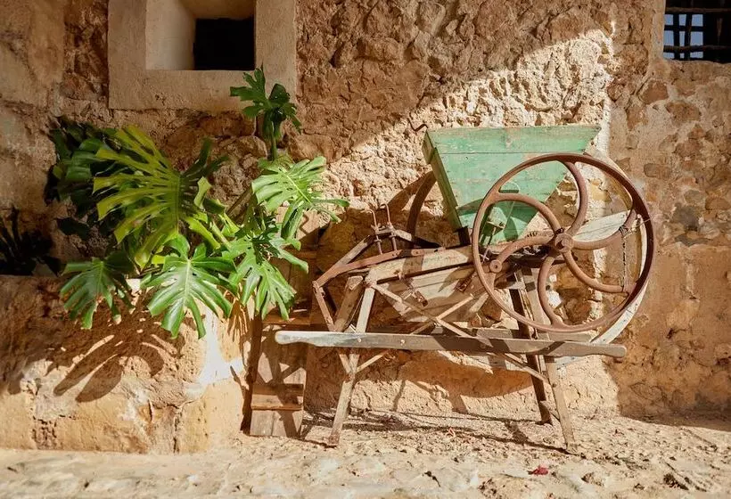 호텔 Agroturismo Alqueria Blanca