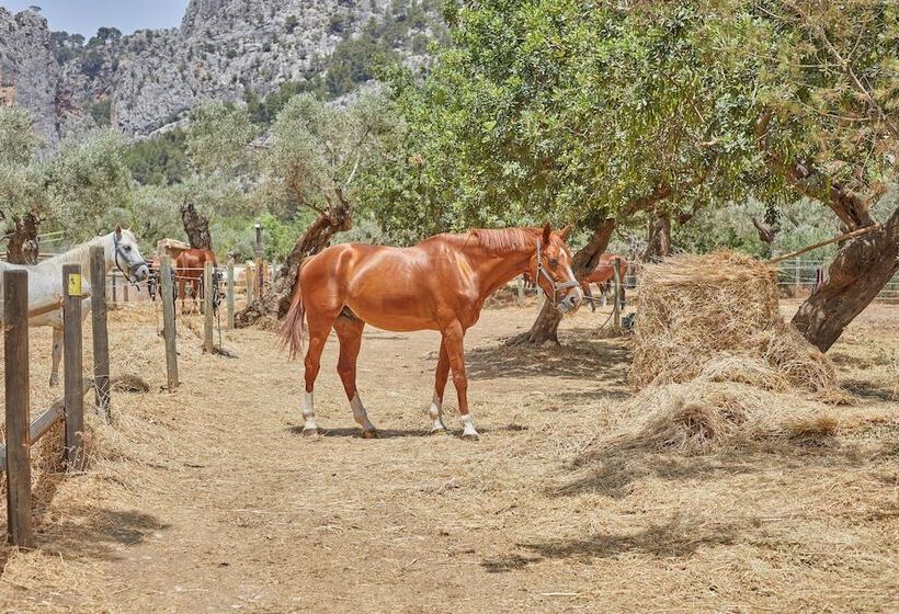 هتل Agroturismo Alqueria Blanca
