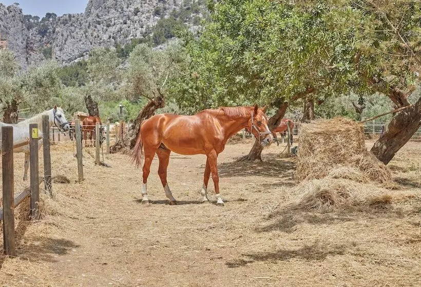 호텔 Agroturismo Alqueria Blanca