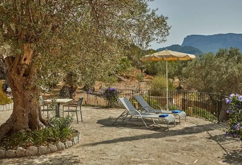 호텔 Agroturismo Alqueria Blanca