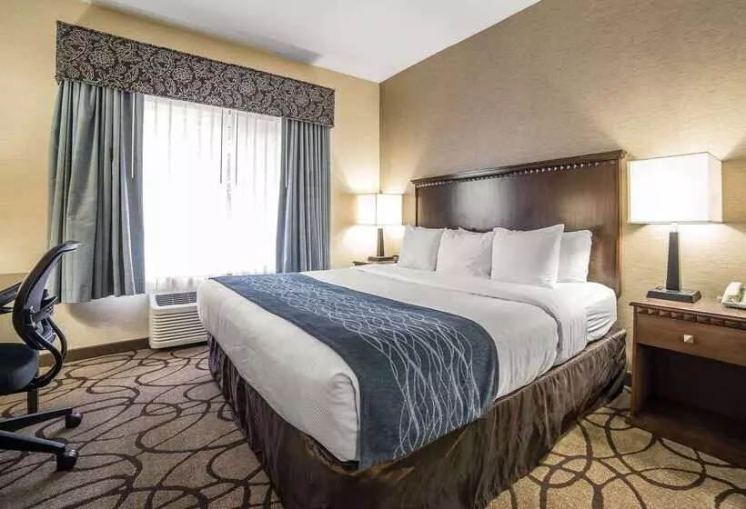 Отель Comfort Suites Airport