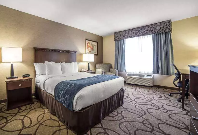 Отель Comfort Suites Airport