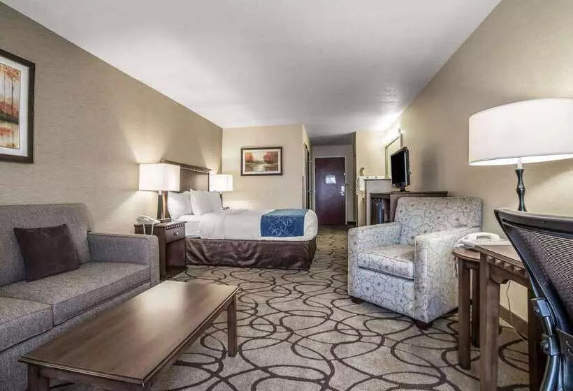 Отель Comfort Suites Airport