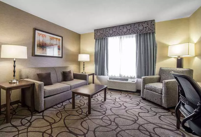 Отель Comfort Suites Airport