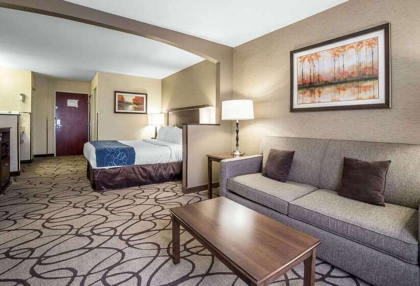 هتل Comfort Suites Airport