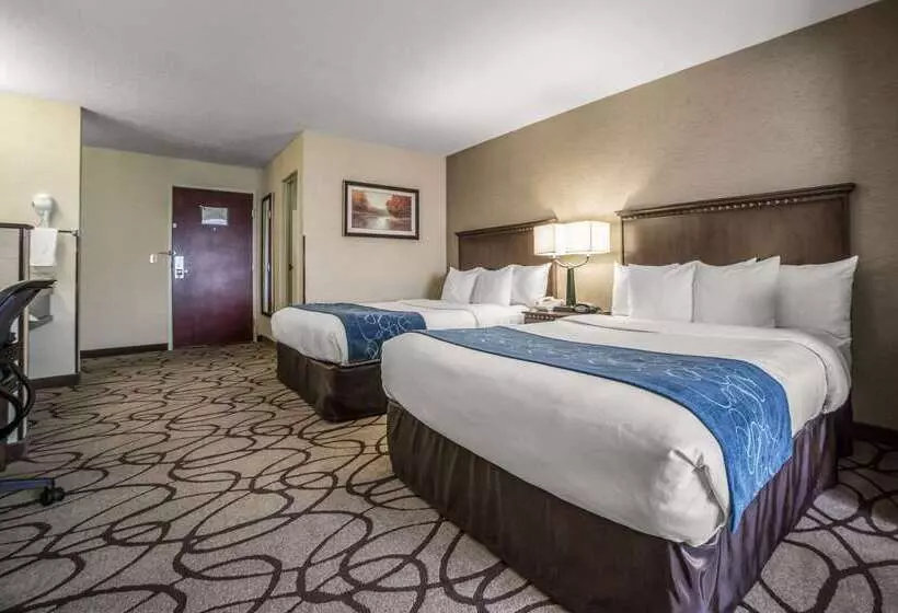 Отель Comfort Suites Airport