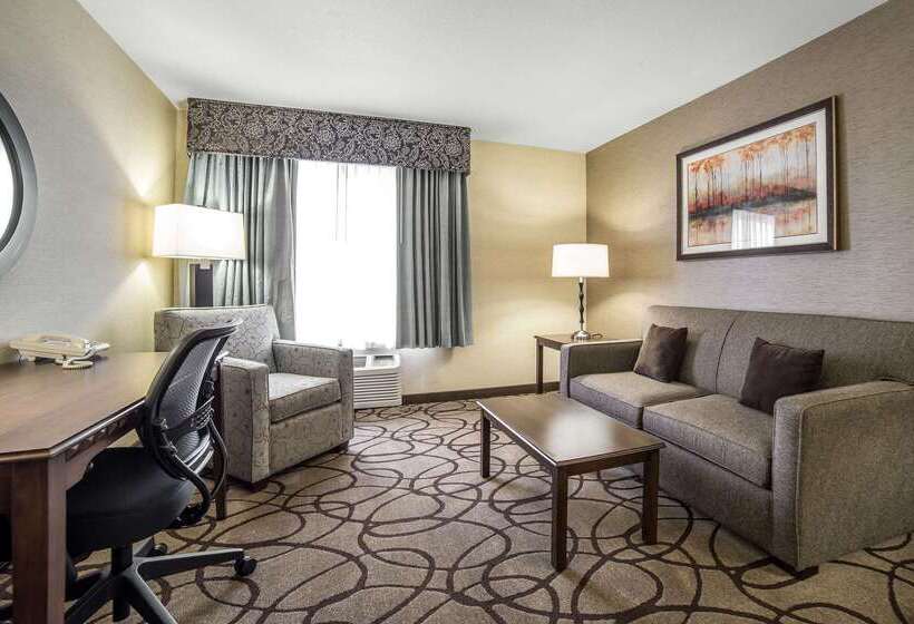 هتل Comfort Suites Airport