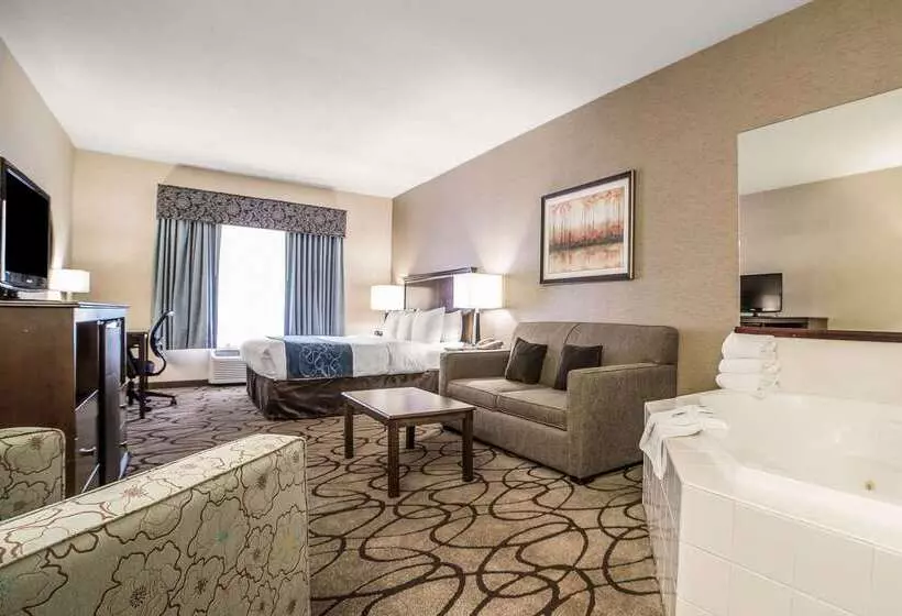 Отель Comfort Suites Airport