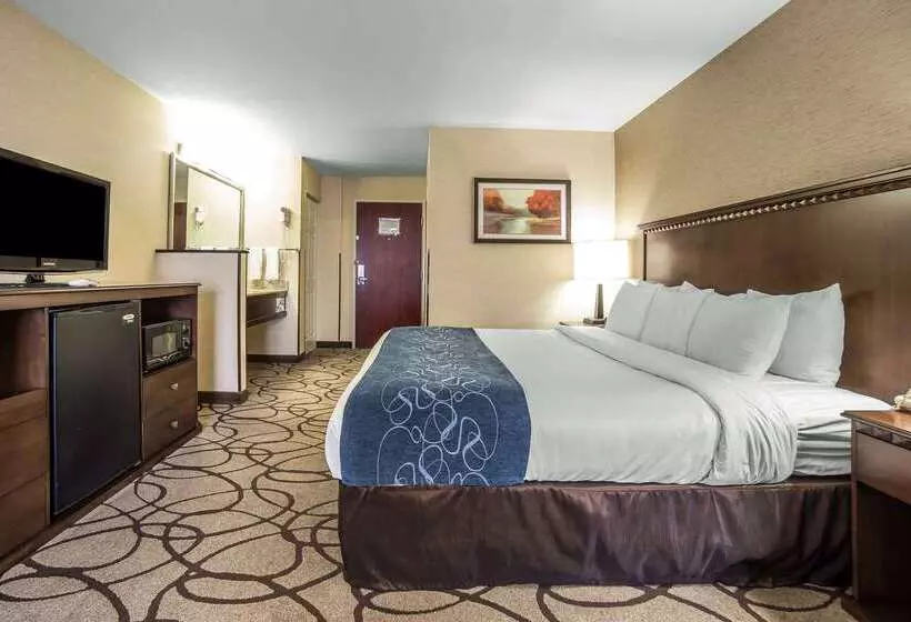 Отель Comfort Suites Airport