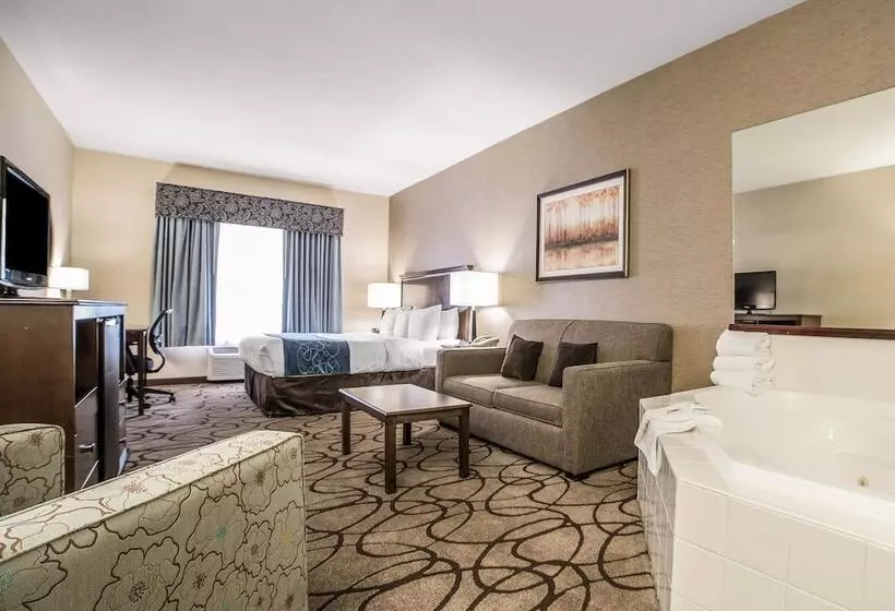 Отель Comfort Suites Airport