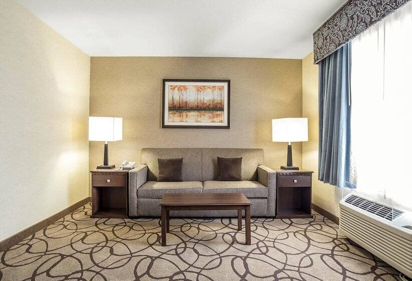 هتل Comfort Suites Airport